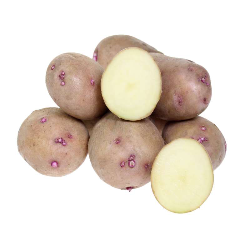 Семенной картофель синеглазка купить. Картофель семенной Синеглазка. Картофель сорт красноглазка.